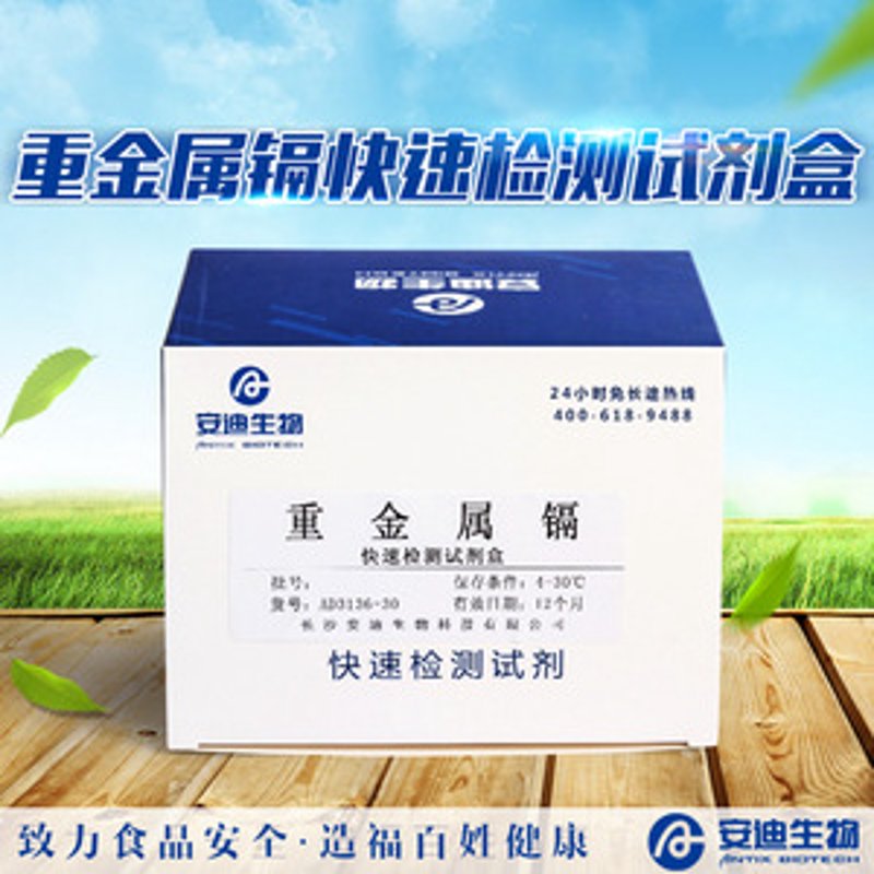 深圳软件开发:企业成长的催化剂